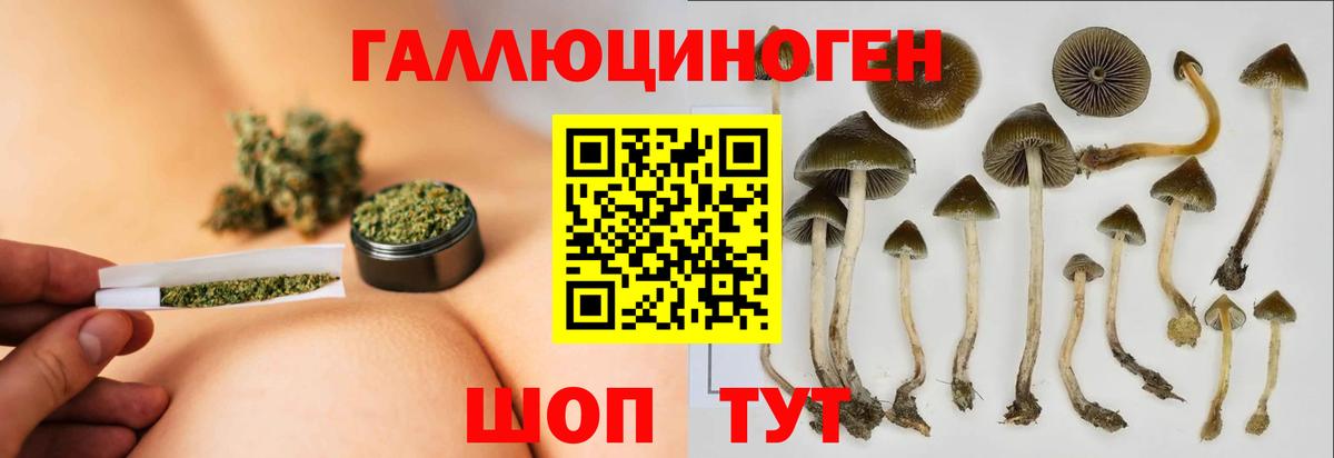 Псилоцибиновые грибы мухоморы Вышний Волочёк